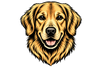 Honden