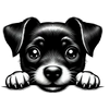 Dieren