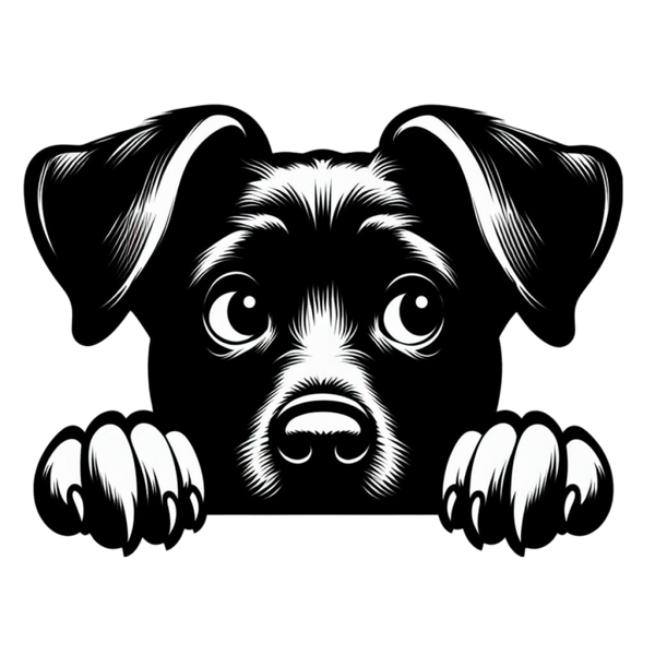 zwart-wit-getekend-hondje