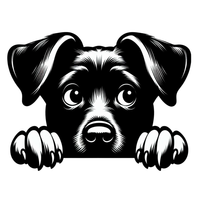Zwart witte honden