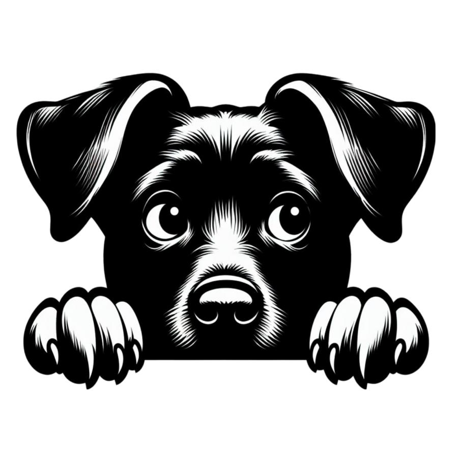 zwart-wit-getekend-hondje