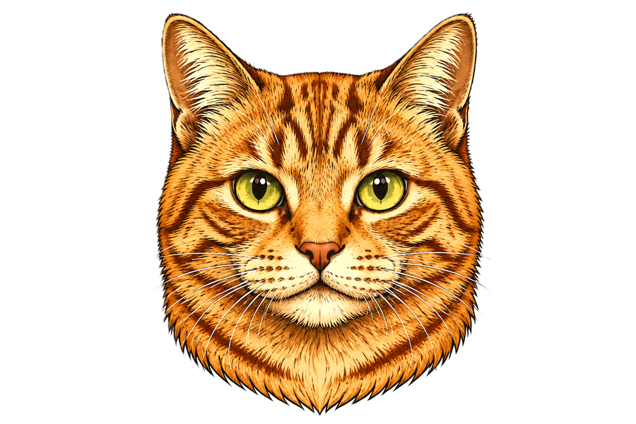 rode kater