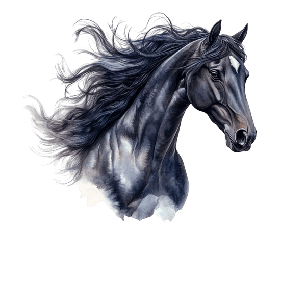 Paarden-2.png